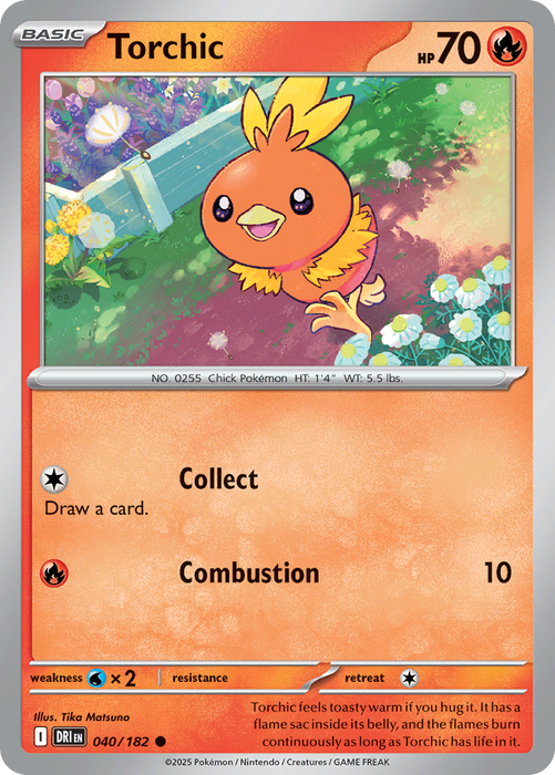 Torchic - 40/182